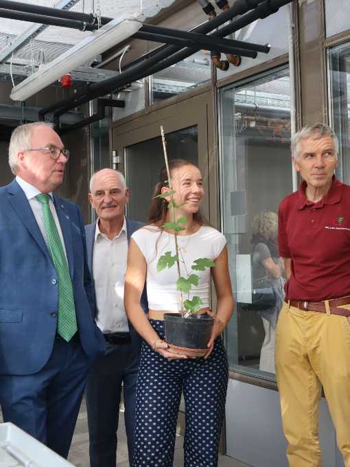 Besuch des Glashauses am Dach des ZWO; Pernkopf, Eder, Renner, Regner