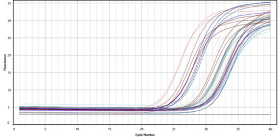 Genexpression - Grafik