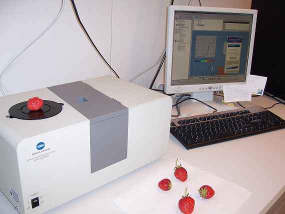 analysis of strawberries