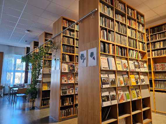 Hohe Regale in der Bibliothek, gefüllt mit Zeitschriften und Büchern. Die Regale werden von einer Pflanze geziert.