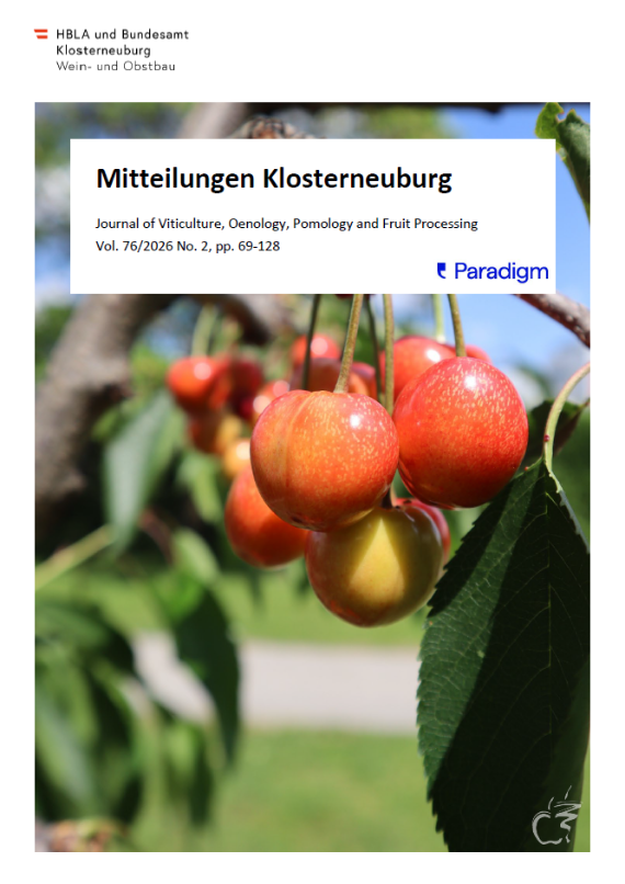 Mitteilungen Klosterneuburg 2/2026 - Titelbild - noch etwas unreife Kirschen auf einem Ast