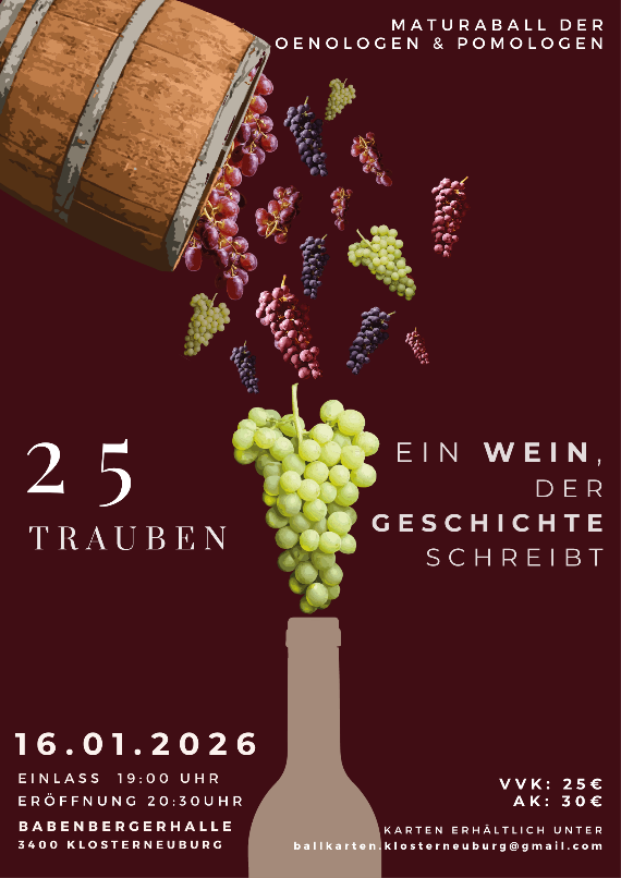 Plakat für Maturaball