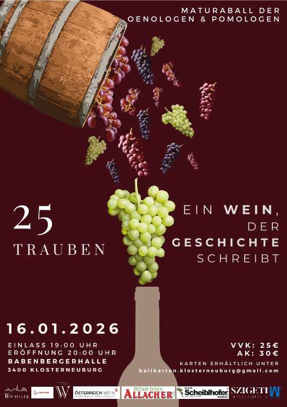 Plakat für den Schulball