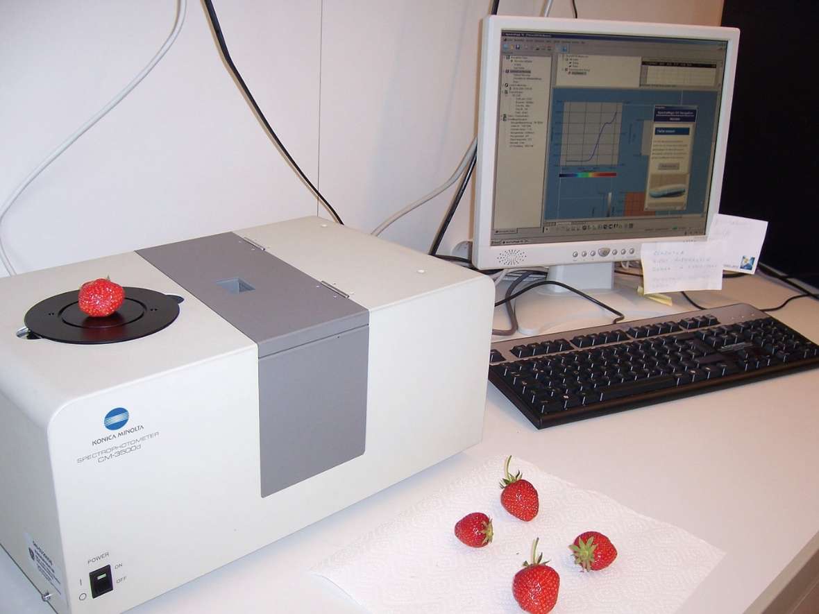 analysis of strawberries