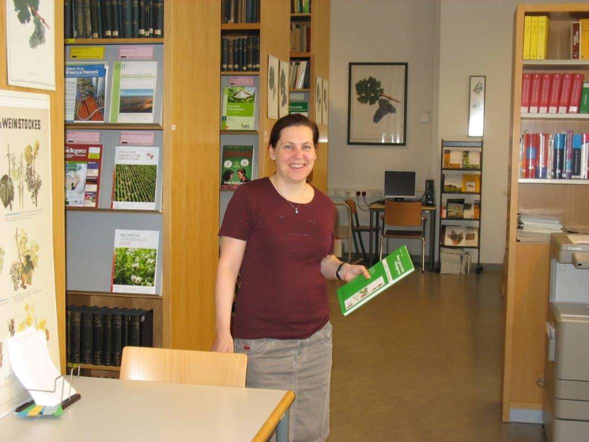 Bibliothek