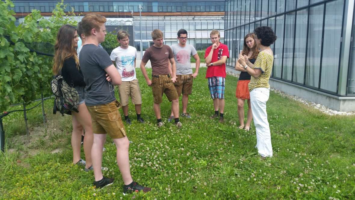 Klasse in Tulln mit Leiteriin Astrid Fornek im Garten