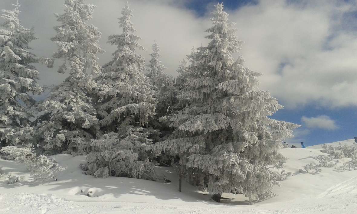 verschneite Wintschlandschaft
