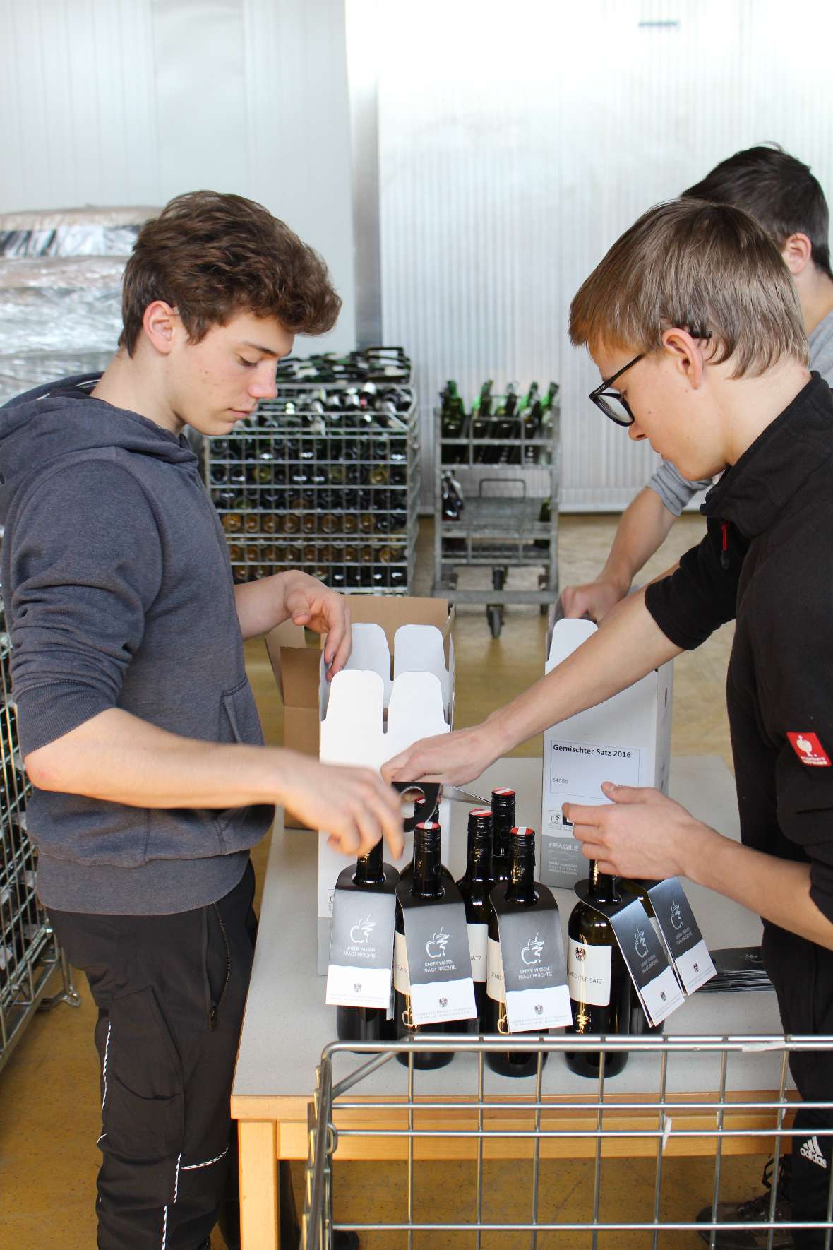 Verpackung des Weins in Kartons