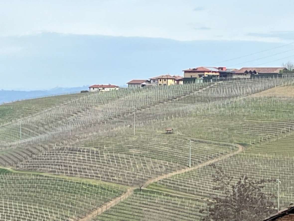 Blick vom Barbaresco Tower