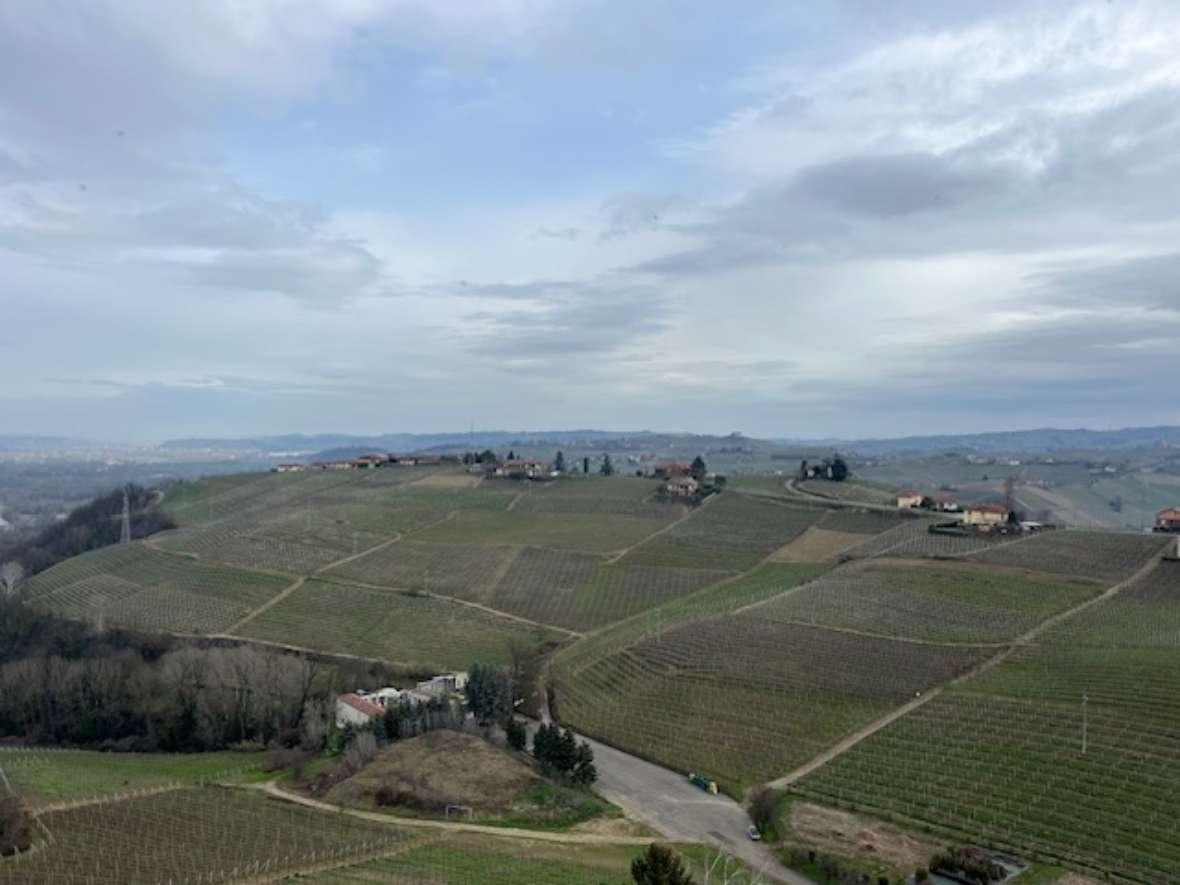 Blick vom Barbaresco Tower