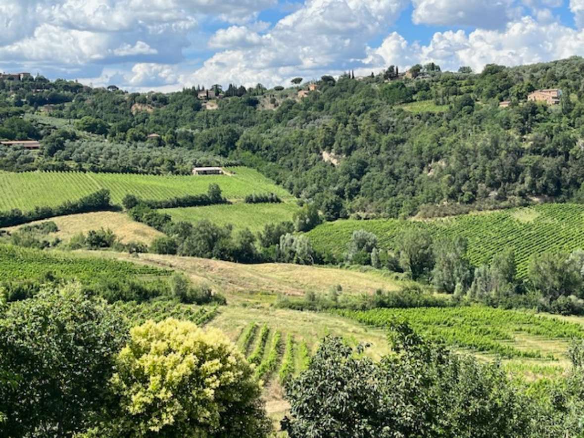 Blick ins Land bei Montepulciano