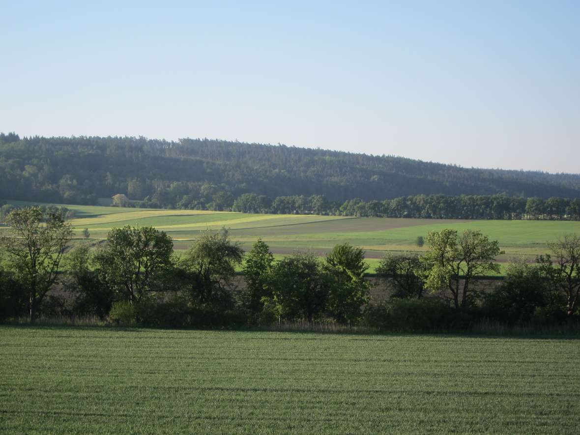 Landschaft in Mold