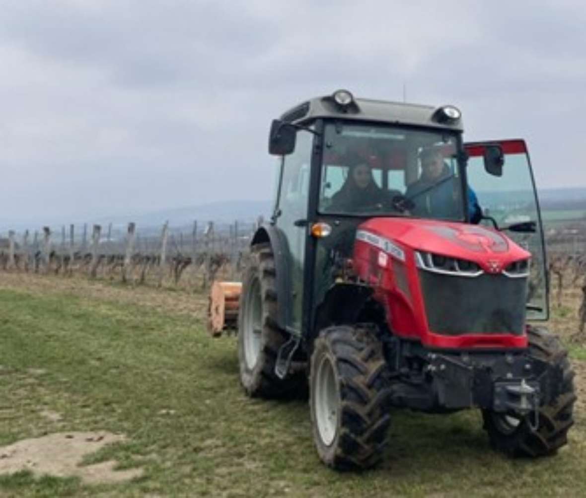 Traktor im Weingarten