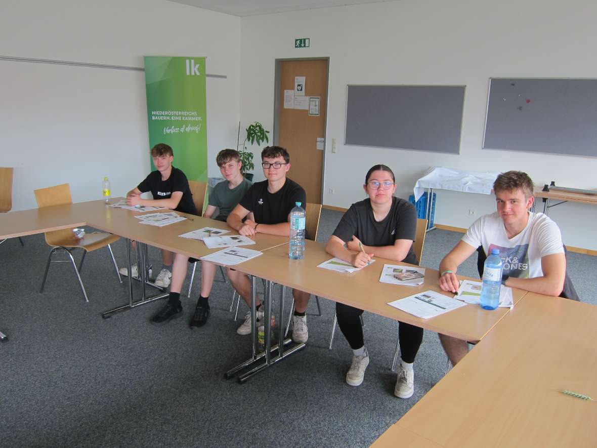 Schüler beim Unterricht
