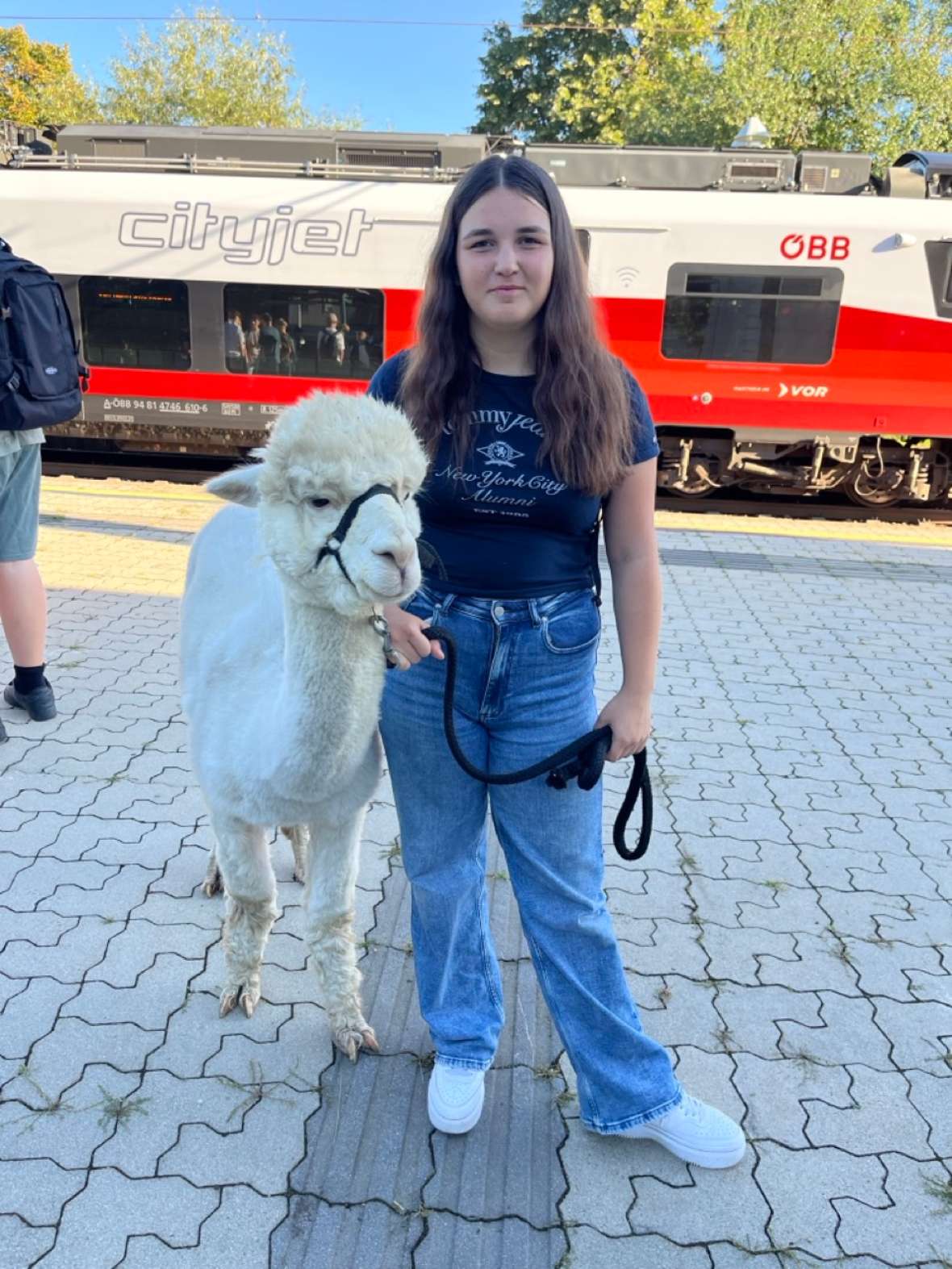 Schülerin mit Alpaka
