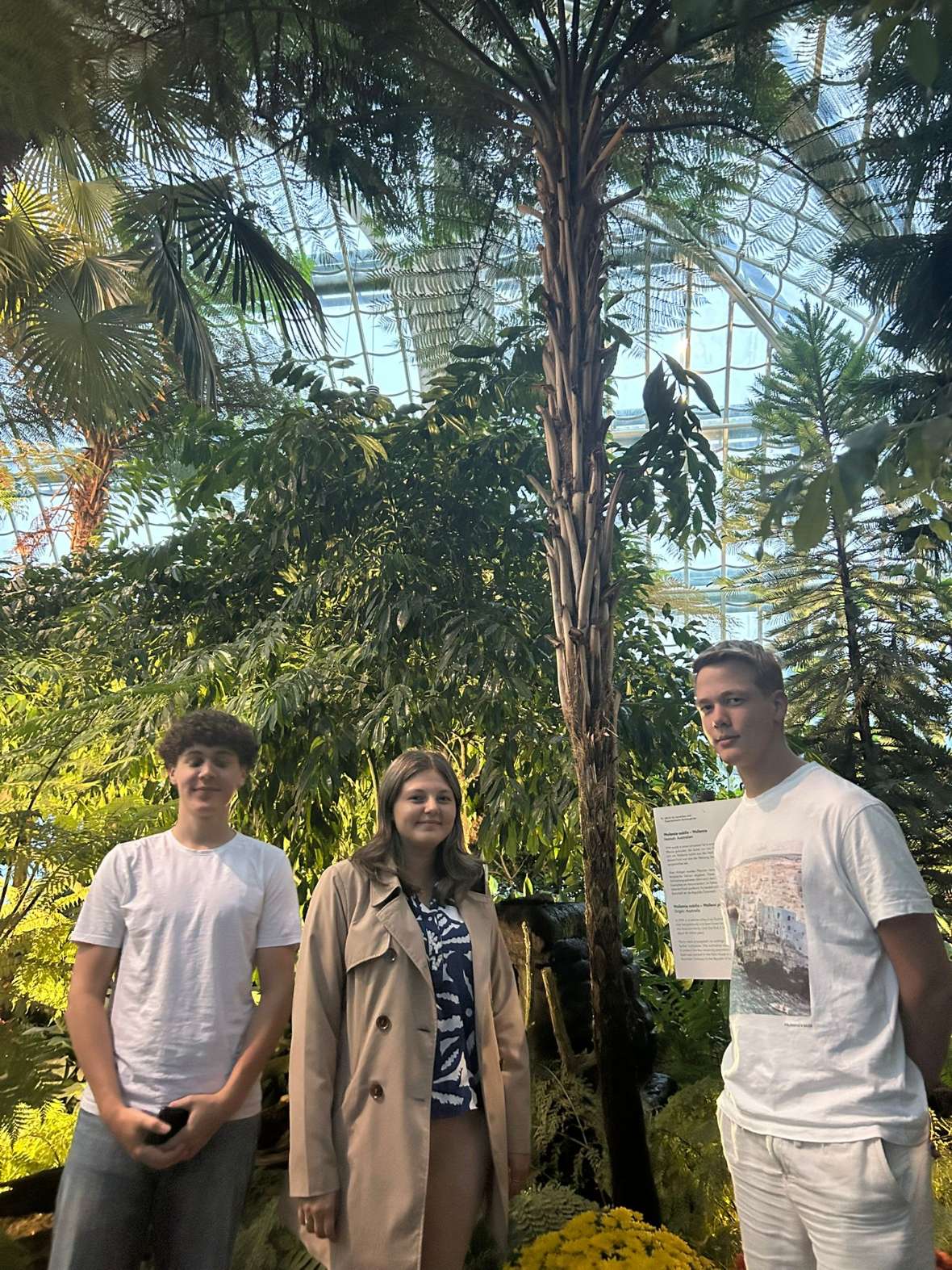 Schüler:innen im Palmenhaus