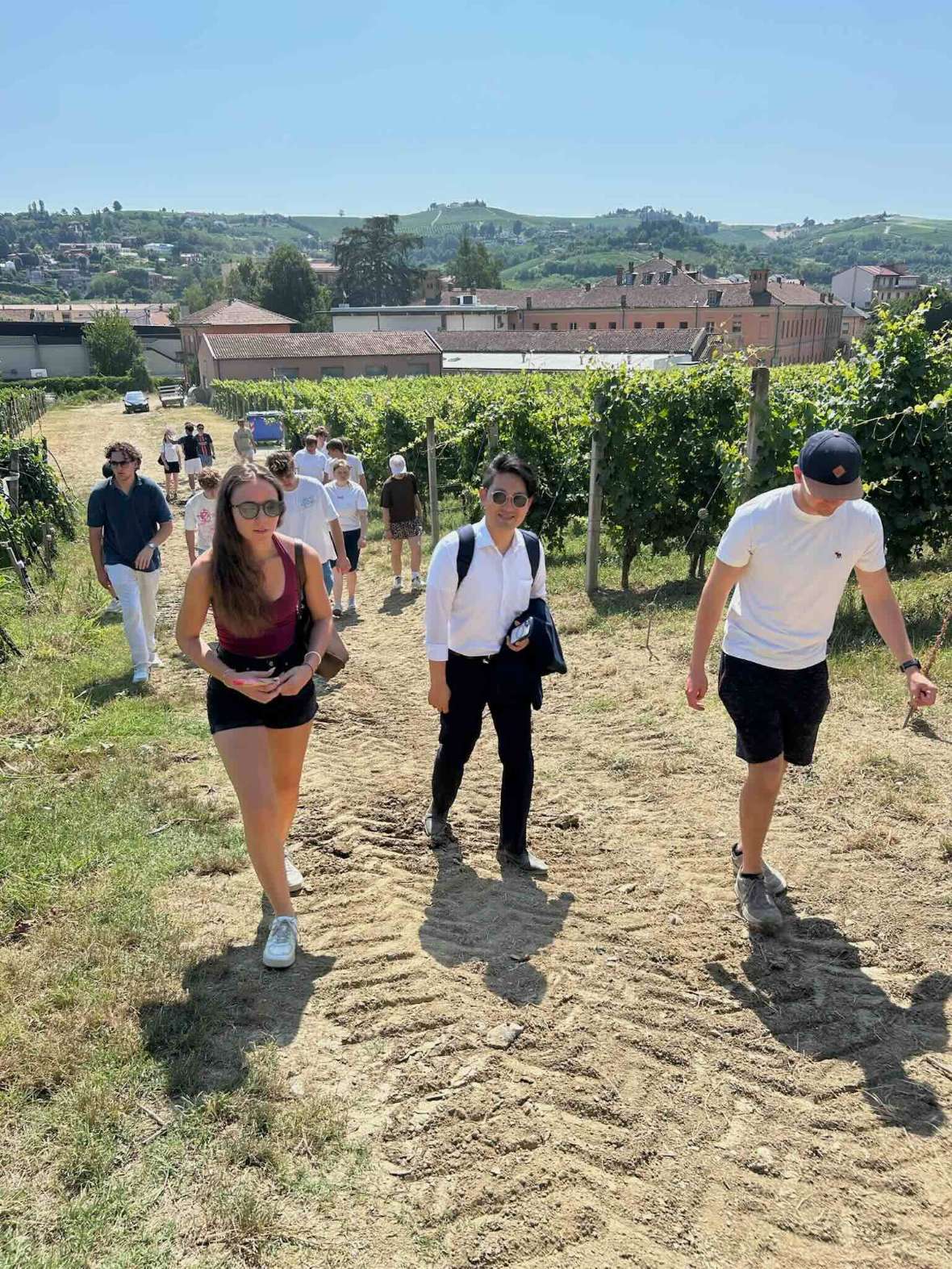 Schulweingärten Alba