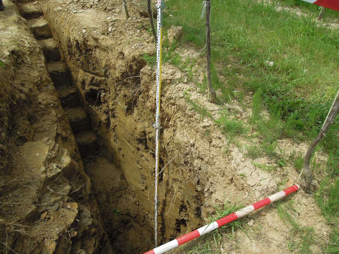 Bodenprofil im Weingarten