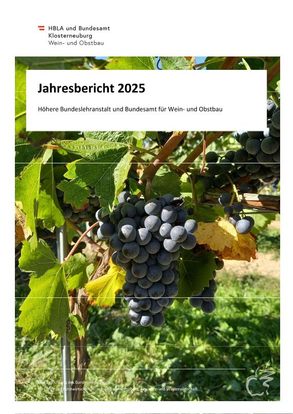 Jahresbericht 2025