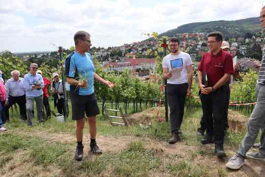 Feldtag - Erläuterungen zum Pflanzenbewuchs im Projektweingarten