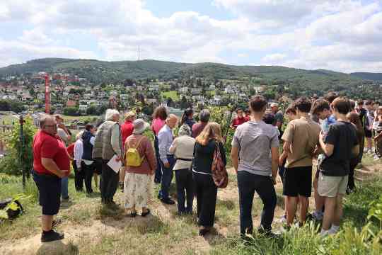 Feldtag - Erläuterungen zum Projektweingarten