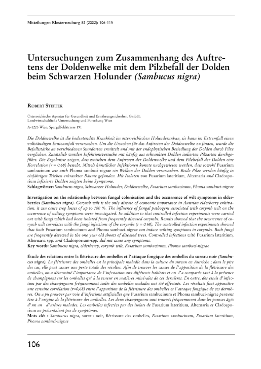 Untersuchungen zum Zusammenhang des Auftretens der Doldenwelke mit dem Pilzbefall der Dolden beim Schwarzen Holunder