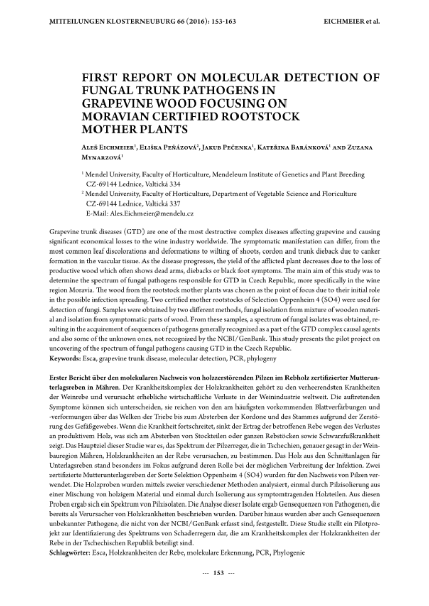 First report on molecular detection of fungal trunk pathogens in grapevine wood focusing on Moravian certified rootstock mother plants