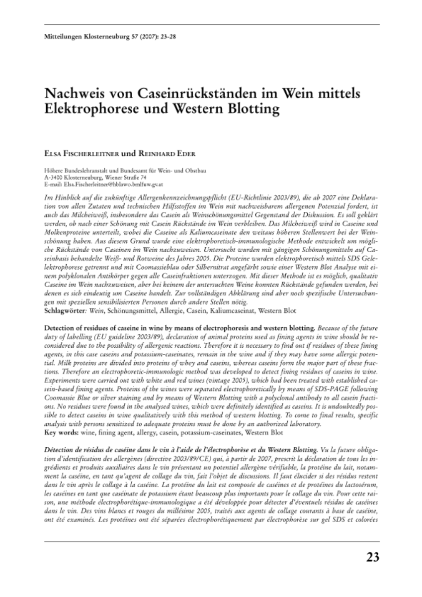 Nachweis von Caseinrückständen im Wein mittels Elektrophorese und Western Blotting