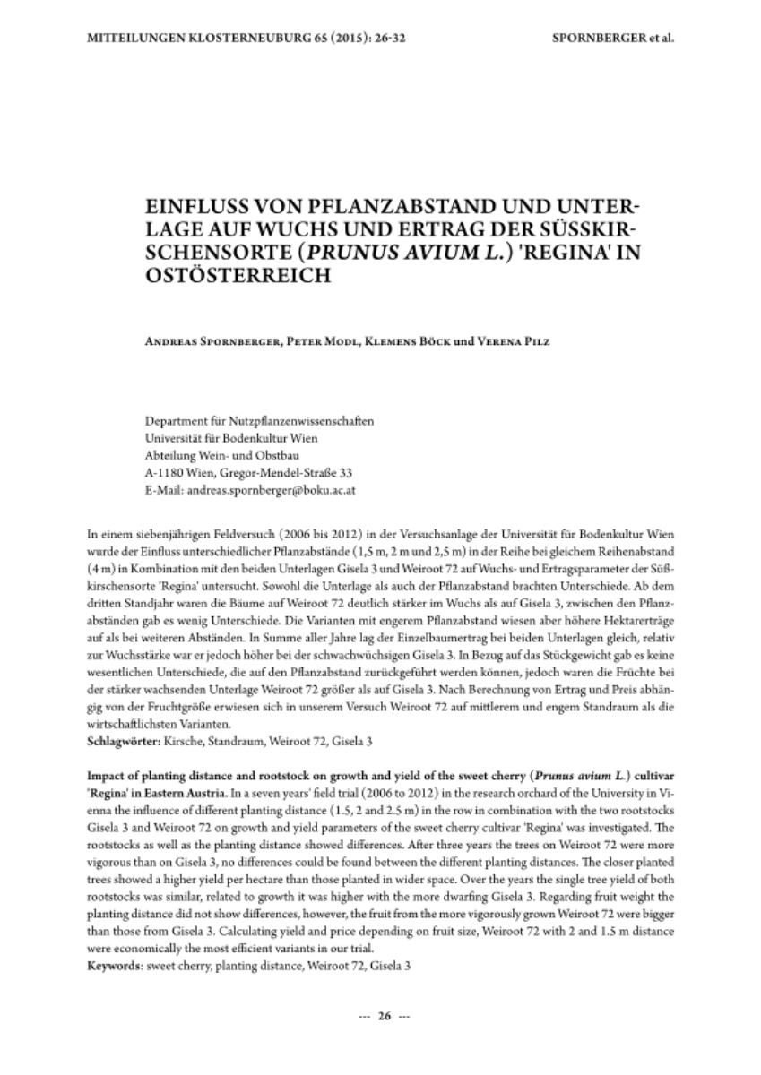 Einfluss von Pflanzabstand und Unterlage auf Wuchs und Ertrag der Süßkirschensorte (Prunus avium L.) 'Regina' in Ostösterreich