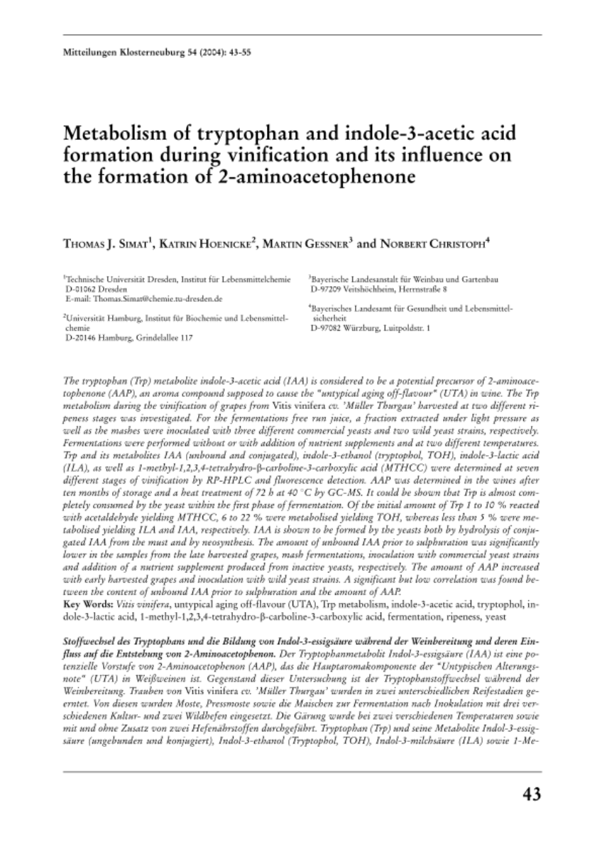 Metabolism of tryptophan and indole-3-acetic acid formation during vinification and its influence on the formation of 2-aminoacetophenone