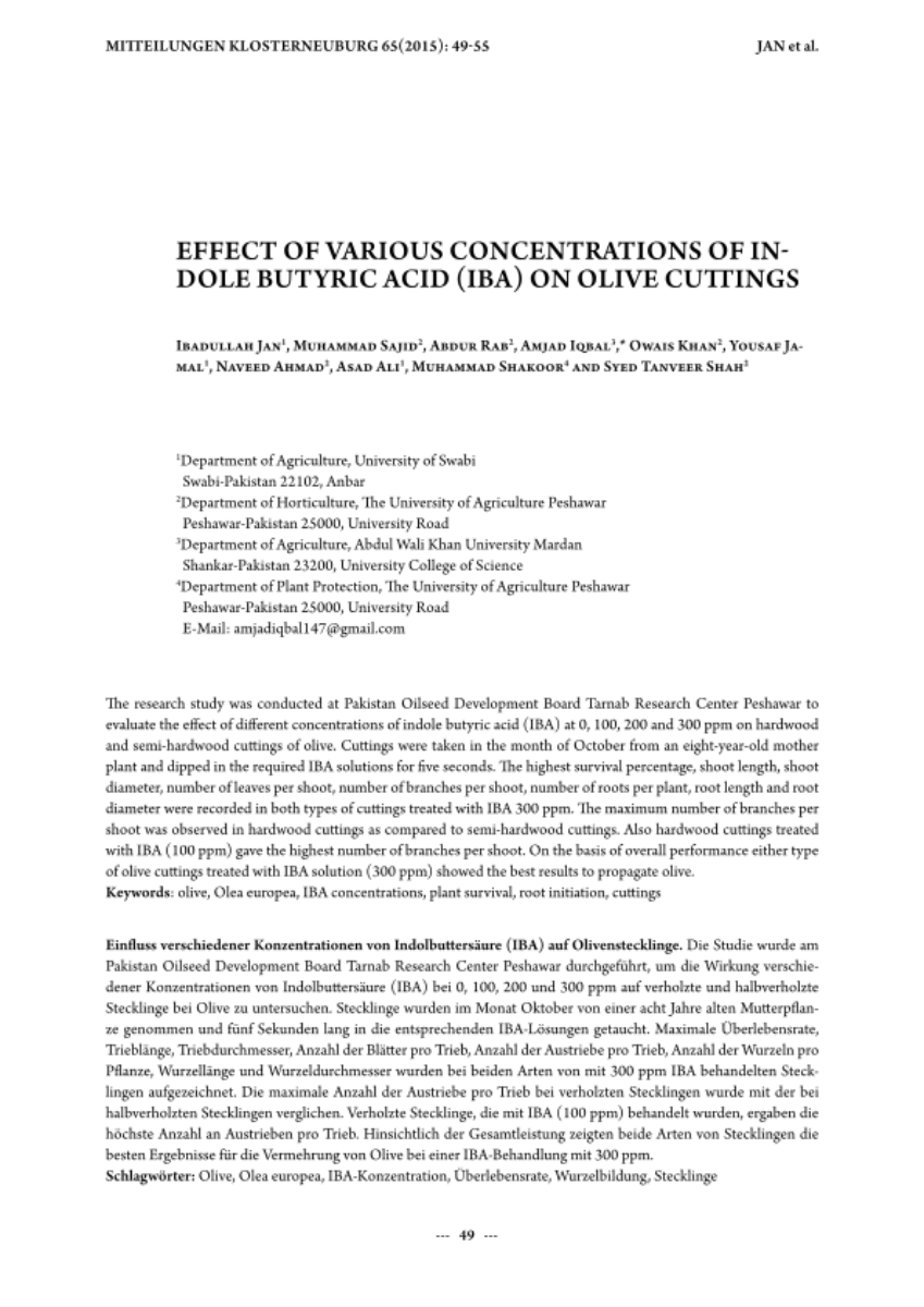 Effect of various concentrations of indole butyric acid (IBA) on olive cuttings