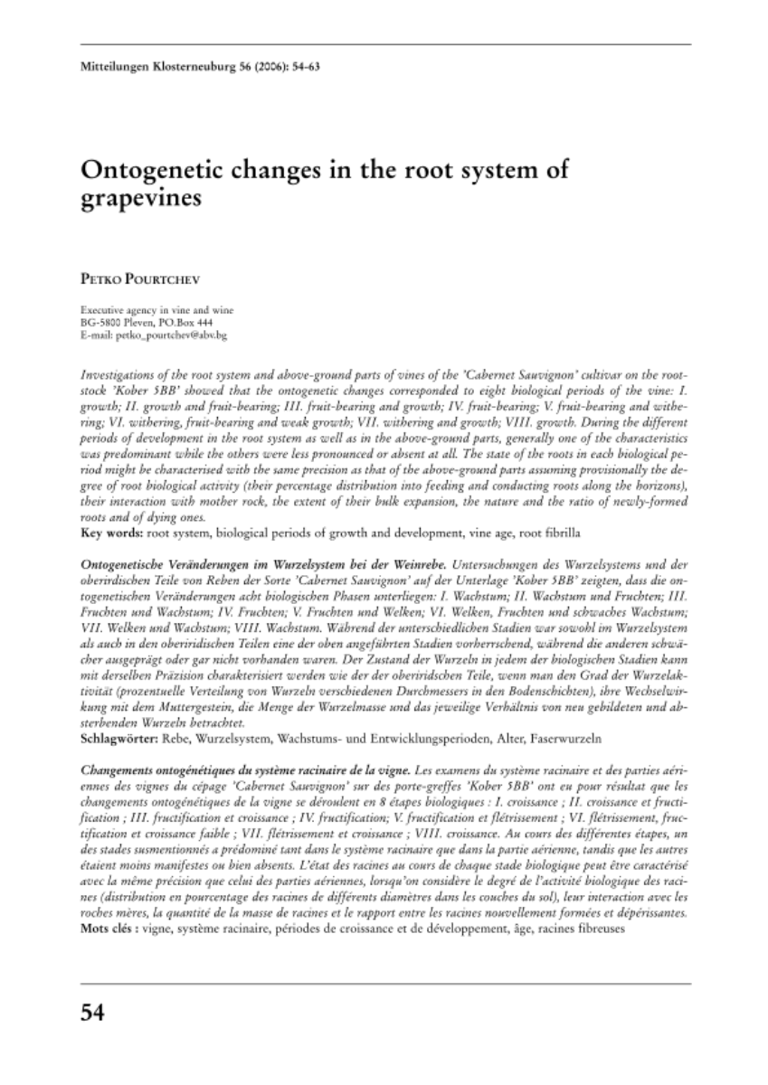 Ontogenetic changes in the root system of grapevines