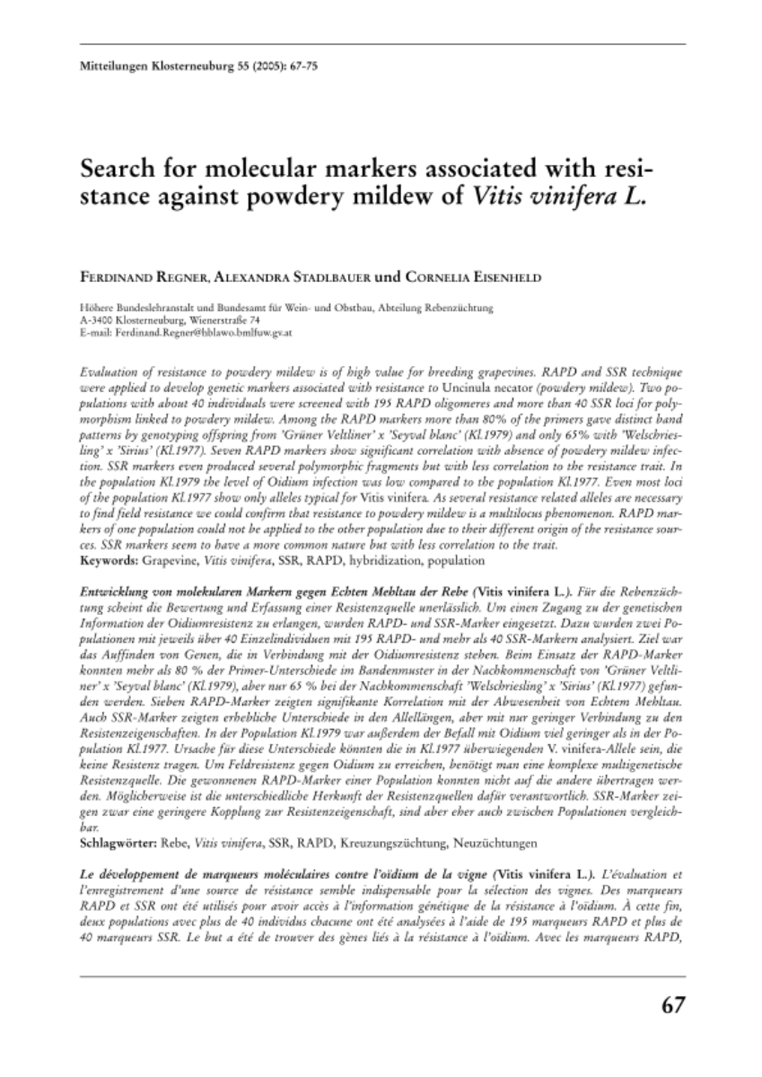 Search for molecular markers associated with resistance against powdery mildew of Vitis vinifera L.