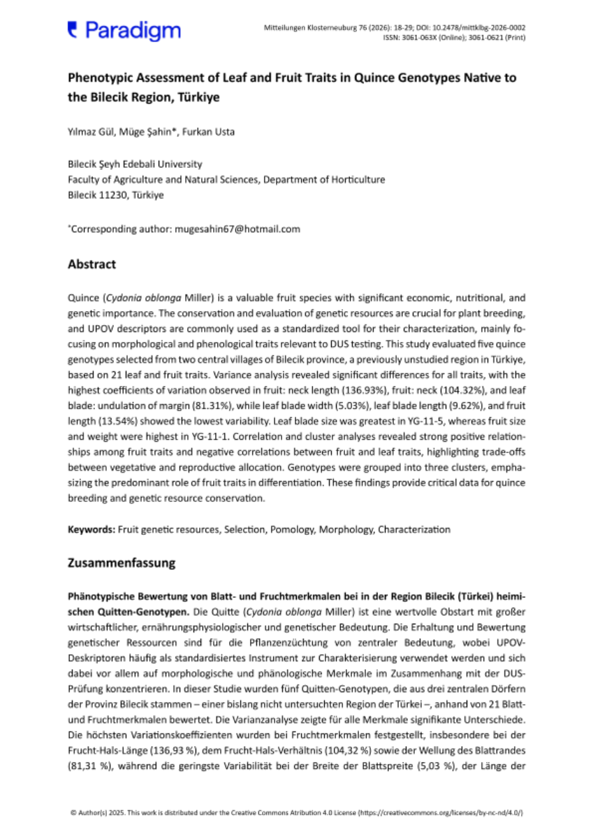 Phenotypic Assessment of Leaf and Fruit Traits in Quince Genotypes Native to the Bilecik Region, Türkiye