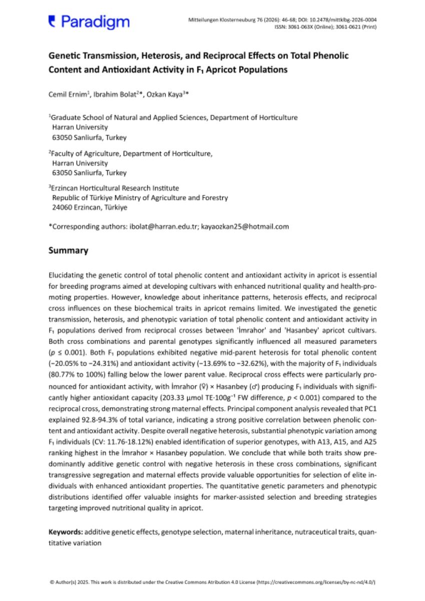 Genetic Transmission, Heterosis, and Reciprocal Effects on Total Phenolic  Content and Antioxidant Activity in F₁ Apricot Populations 