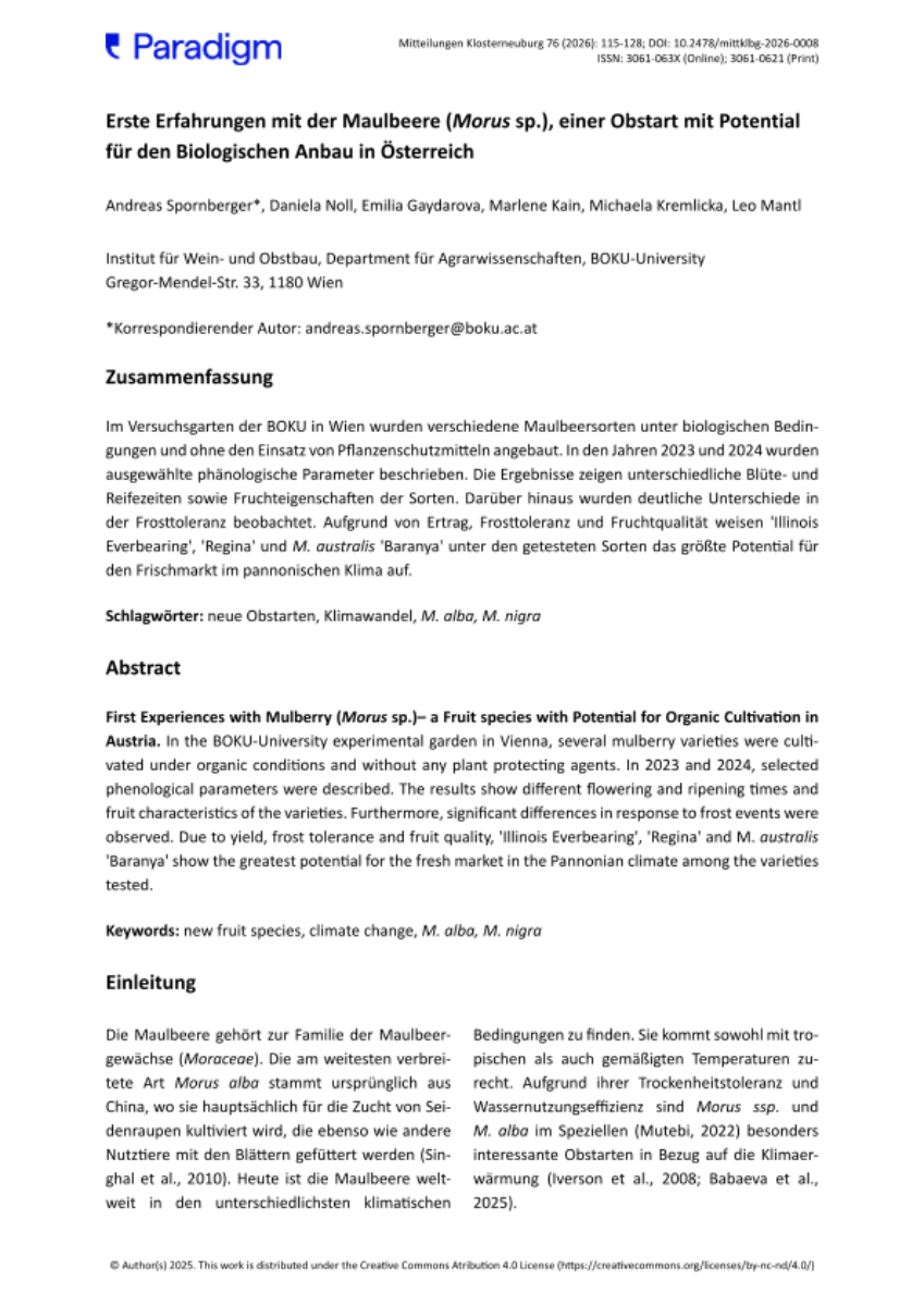 Erste Erfahrungen mit der Maulbeere (Morus sp.), einer Obstart mit Potential für den Biologischen Anbau in Österreich 