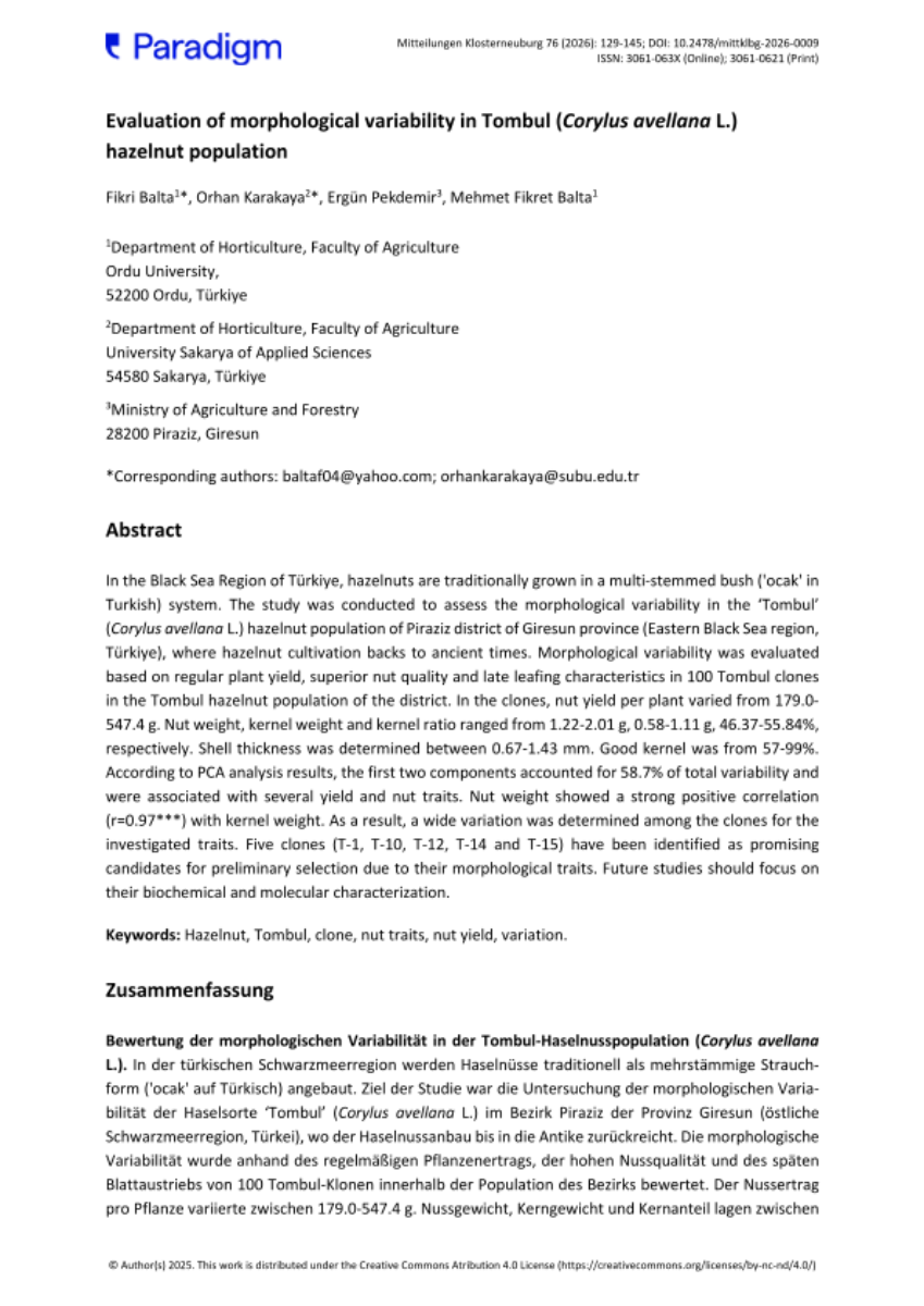 Evaluation of morphological variability in Tombul (Corylus avellana L.) hazelnut population